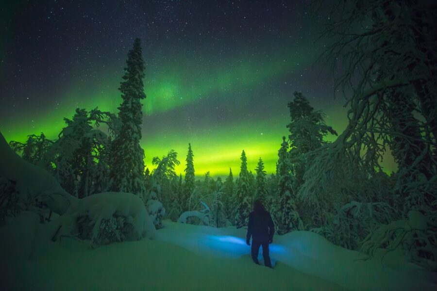 Tromsø: Reindeer Sled, Dinner, and Chance of Northern Lights - Who will enjoy this most?