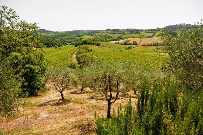 Tuscany Day Trip from Florence: Siena, San Gimignano, Pisa and Lunch at a Winery - Why this makes sense from Florence