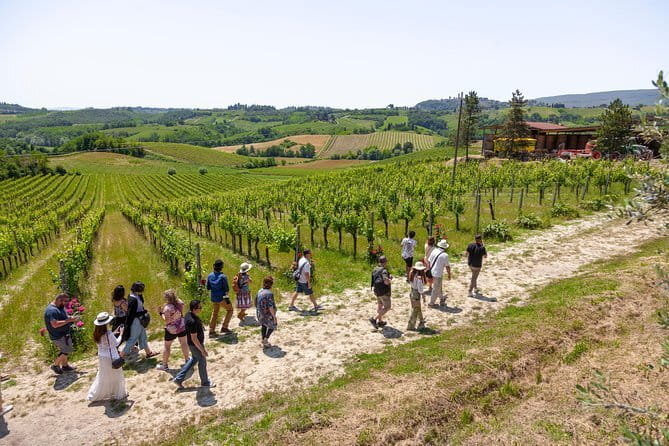 Tuscany Day Trip from Florence: Siena, San Gimignano, Pisa and Lunch at a Winery - Walking, timing, and the real pace