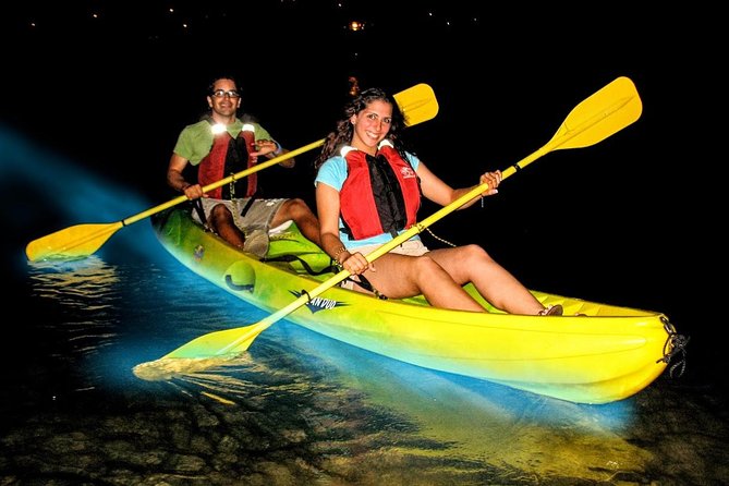 Two-in-One Day Trip: El Yunque and Bio Bay Tour with Transport - Why this two-in-one tour makes sense