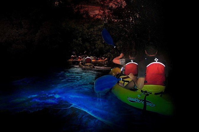 Two-in-One Day Trip: El Yunque and Bio Bay Tour with Transport - Guides, safety, and group size
