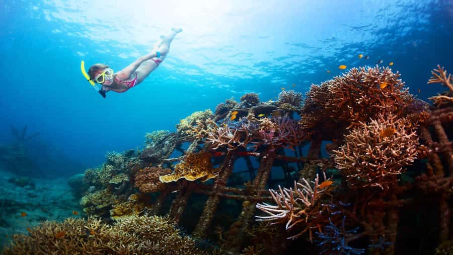 Ubud: Tegenungan Waterfall, Snorkeling, and Canyoning Tour - Key points at a glance