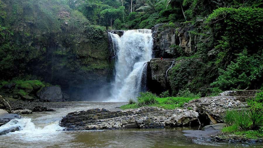 Ubud: Tegenungan Waterfall, Snorkeling, and Canyoning Tour - Beji Guwang Hidden Canyon: the day’s best adventure