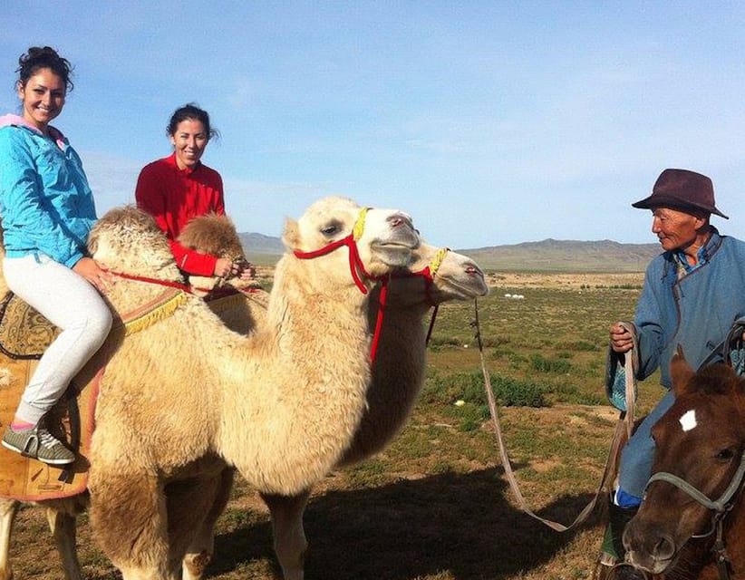 Ulaanbaatar: Semi-Gobi Desert Day Trip & Camel Ride - The sand dunes and camel ride