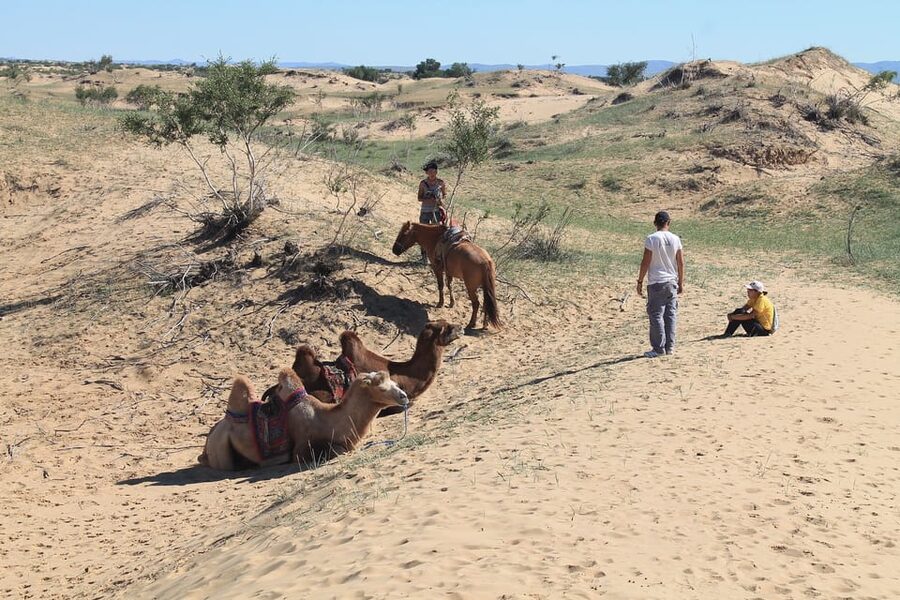 Ulaanbaatar: Semi-Gobi Desert Day Trip & Camel Ride - A local lunch and a visit to a nomadic ger
