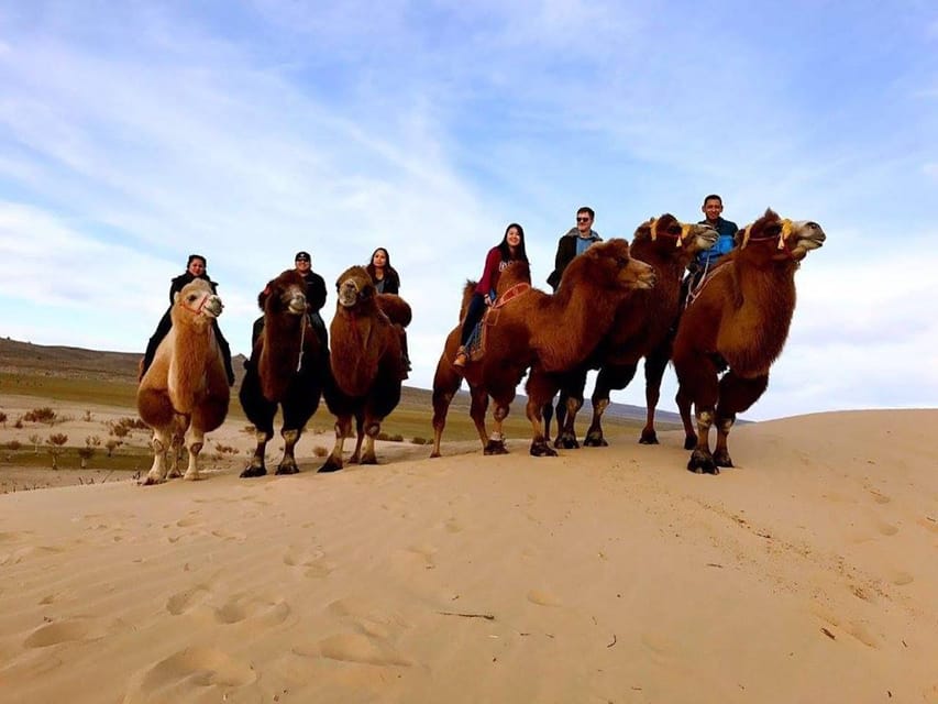 Ulaanbaatar: Semi-Gobi Desert Day Trip & Camel Ride - Is $175 a good value?