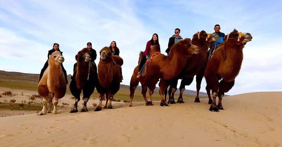 Ulaanbaatar: Semi-Gobi Desert Day Trip & Camel Ride - Who should take this tour?