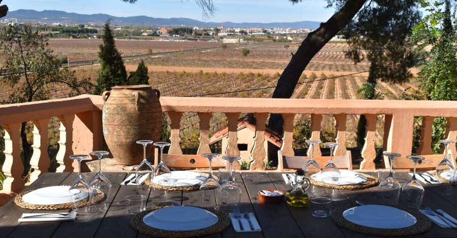 Valencia: Utiel-Requena Cave & Winery Day Trip with Tasting - Five Things to Know Before You Go