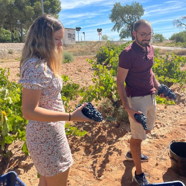 Valencia: Utiel-Requena Cave & Winery Day Trip with Tasting - Leaving Valencia for Utiel-Requena