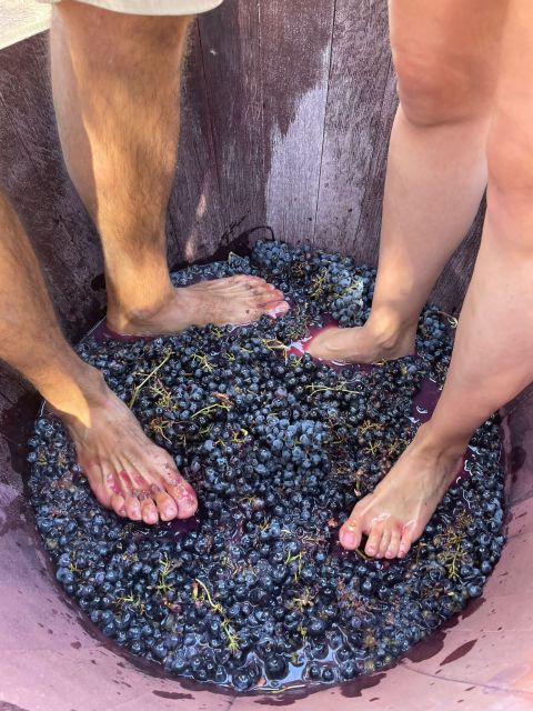 Valencia: Utiel-Requena Cave & Winery Day Trip with Tasting - Why the Two-Winery Contrast Works