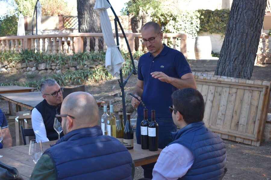 Valencia: Utiel-Requena Cave & Winery Day Trip with Tasting - Who Will Enjoy This Day Most