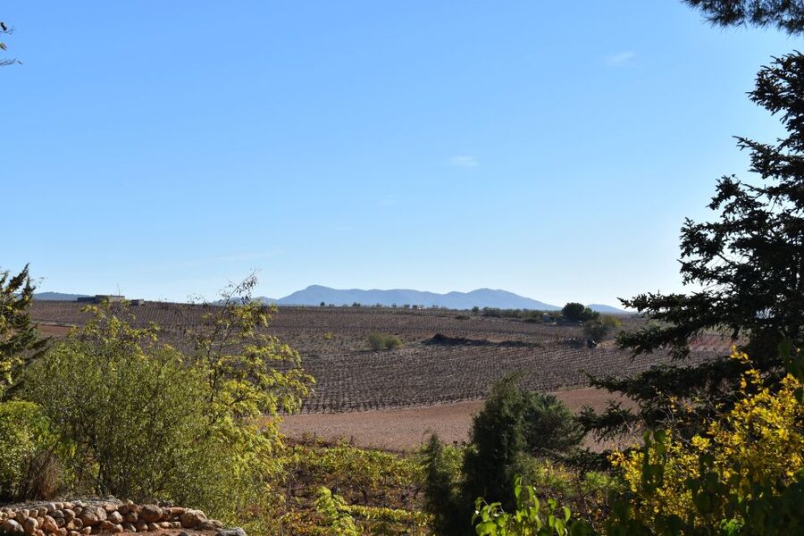 Valencia: Utiel-Requena Cave & Winery Day Trip with Tasting - Should You Book the Utiel-Requena Wine Trip?