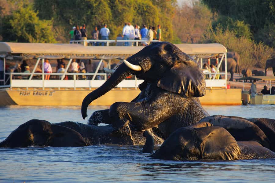 Victoria Falls: Chobe National Park Day Trip with Lunch - The early road to Kazungula
