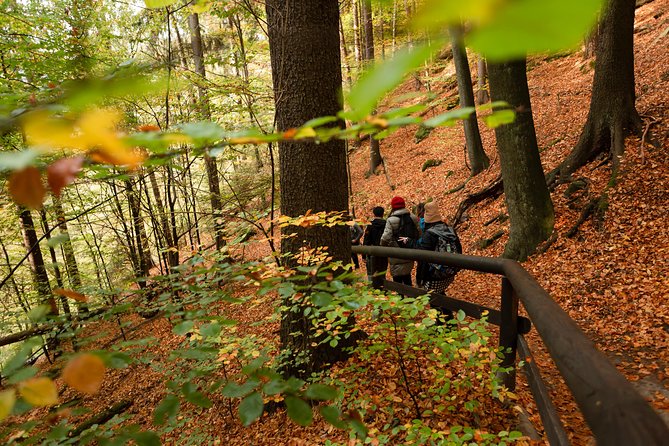 VIP Best Reviews: Bohemian & Saxon Switzerland from Prague - Lunch in Mezní Louka