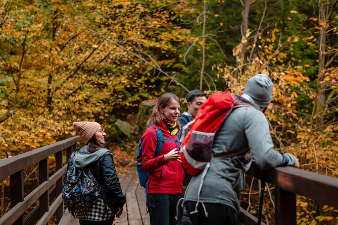 VIP Best Reviews: Bohemian & Saxon Switzerland from Prague - Optional Pravcicka Gate and the river gorges