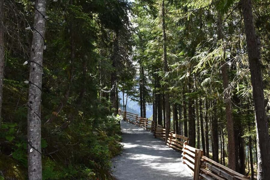 Whistler, Sea to Sky Gondola, and Shannon Falls Day Trip - Three hours in Whistler: use the freedom well