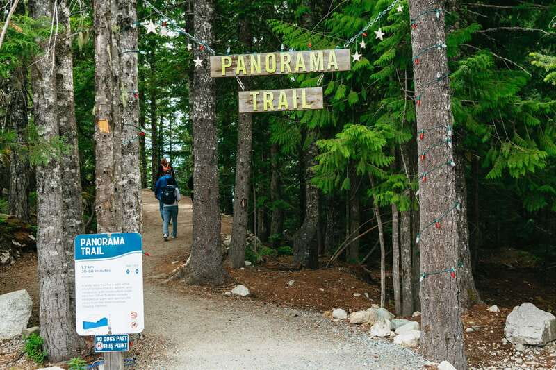 Whistler, Sea to Sky Gondola, and Shannon Falls Day Trip - The guides add real value to the bus rides