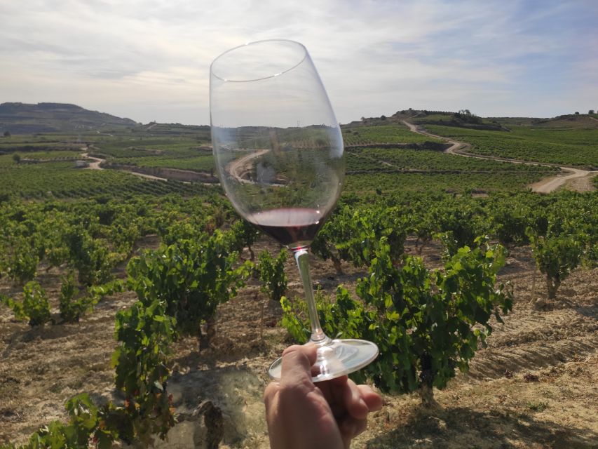 Wine Tour: 2 wineries in La Rioja - Key points at a glance