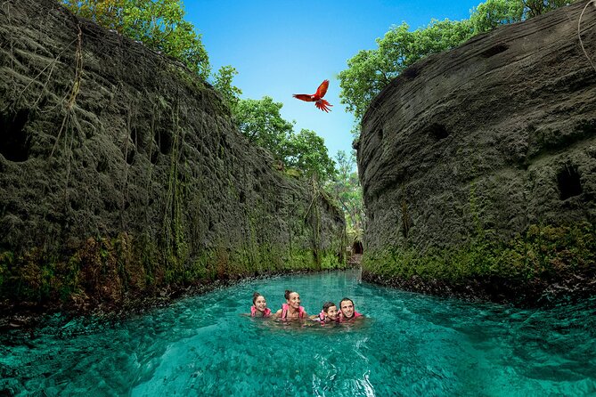 Xcaret Park Day Trip, transportation and Cultural Night Show - Getting from Cancun to Xcaret