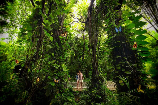 Xcaret Park Day Trip, transportation and Cultural Night Show - Xcaret México Espectacular: the evening highlight