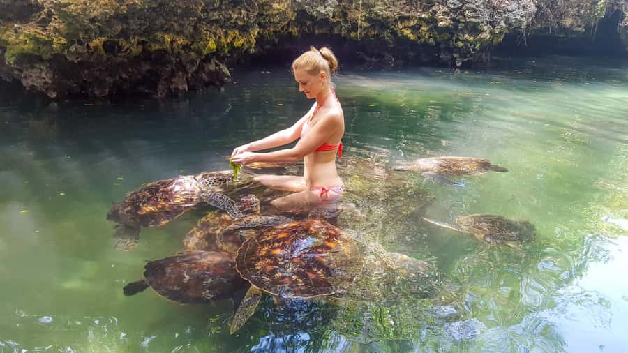 Zanzibar: Nungwi Turtle Aquarium Guided Half-Day Trip - What makes the conservation message worthwhile