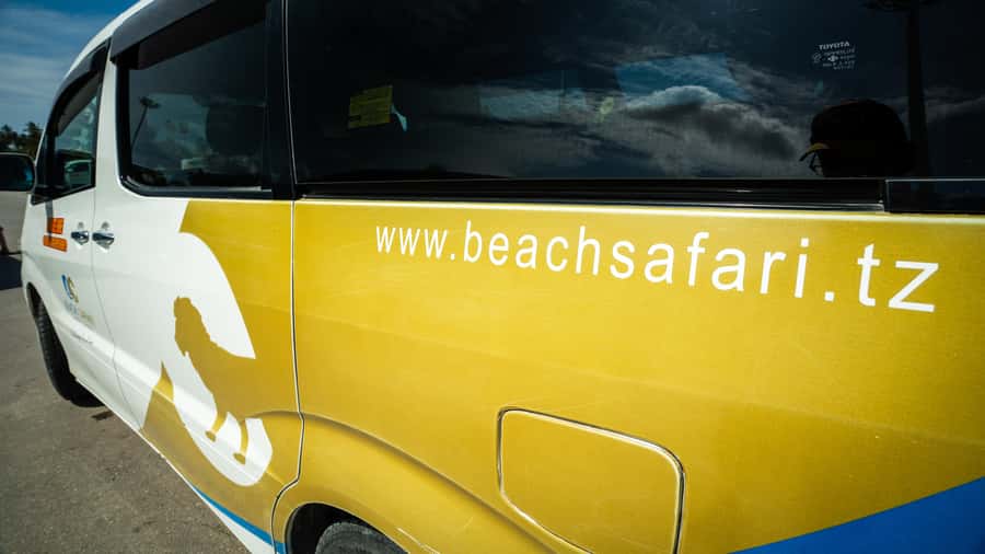 Zanzibar: Nungwi Turtle Aquarium Guided Half-Day Trip - Is $22 good value?