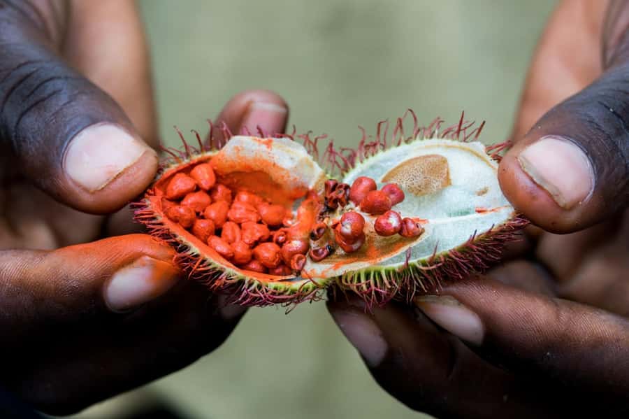 Zanzibar: Stone Town, Spice Tour, Prison Island with Lunch - What to wear and carry