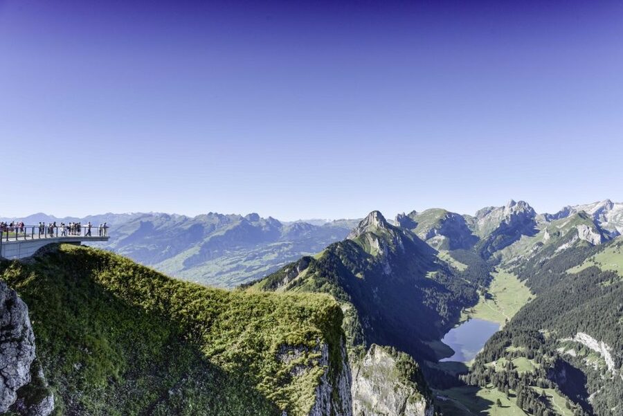 Zurich: Appenzell Day Trip with Farm Visit & Cheese Tasting - Appenzeller cheese and the cellar of 12,500 wheels