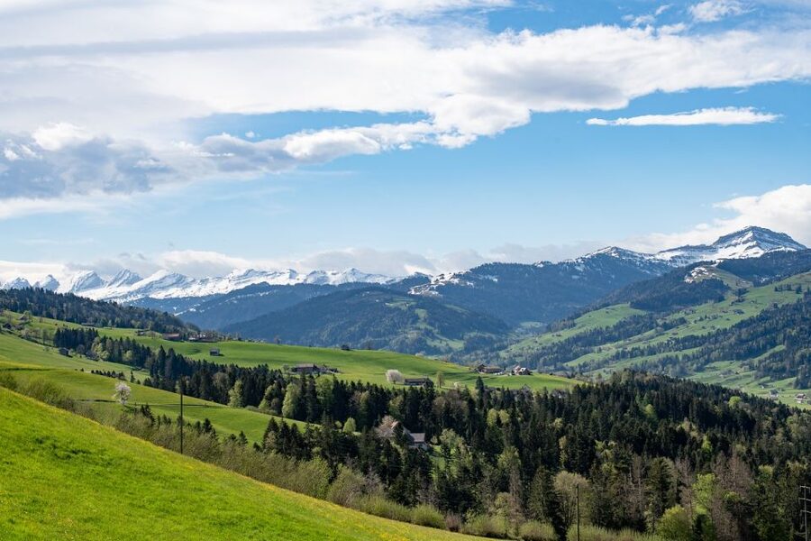 Zurich: Appenzell Day Trip with Farm Visit & Cheese Tasting - Who should book this tour?